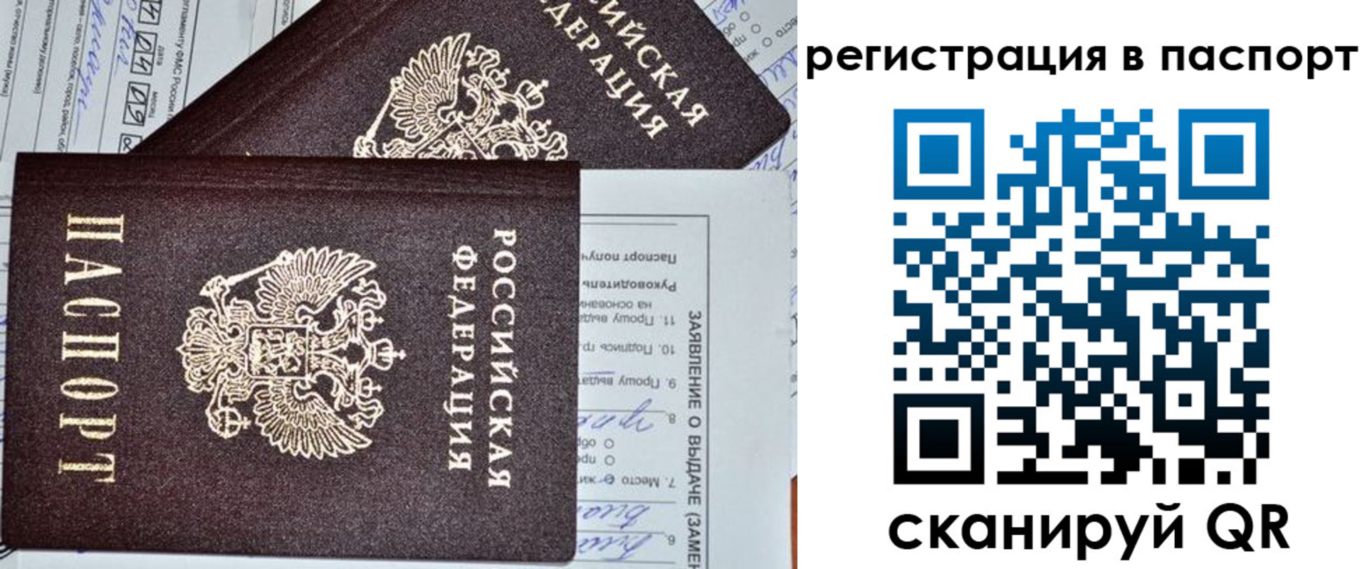 прописка законно в Тайшете